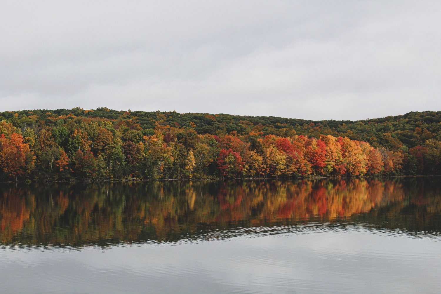 fall foliage next to wide river