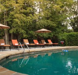 Plush pool chairs are lined up behind a turquoise blue pool with green trees in the background.