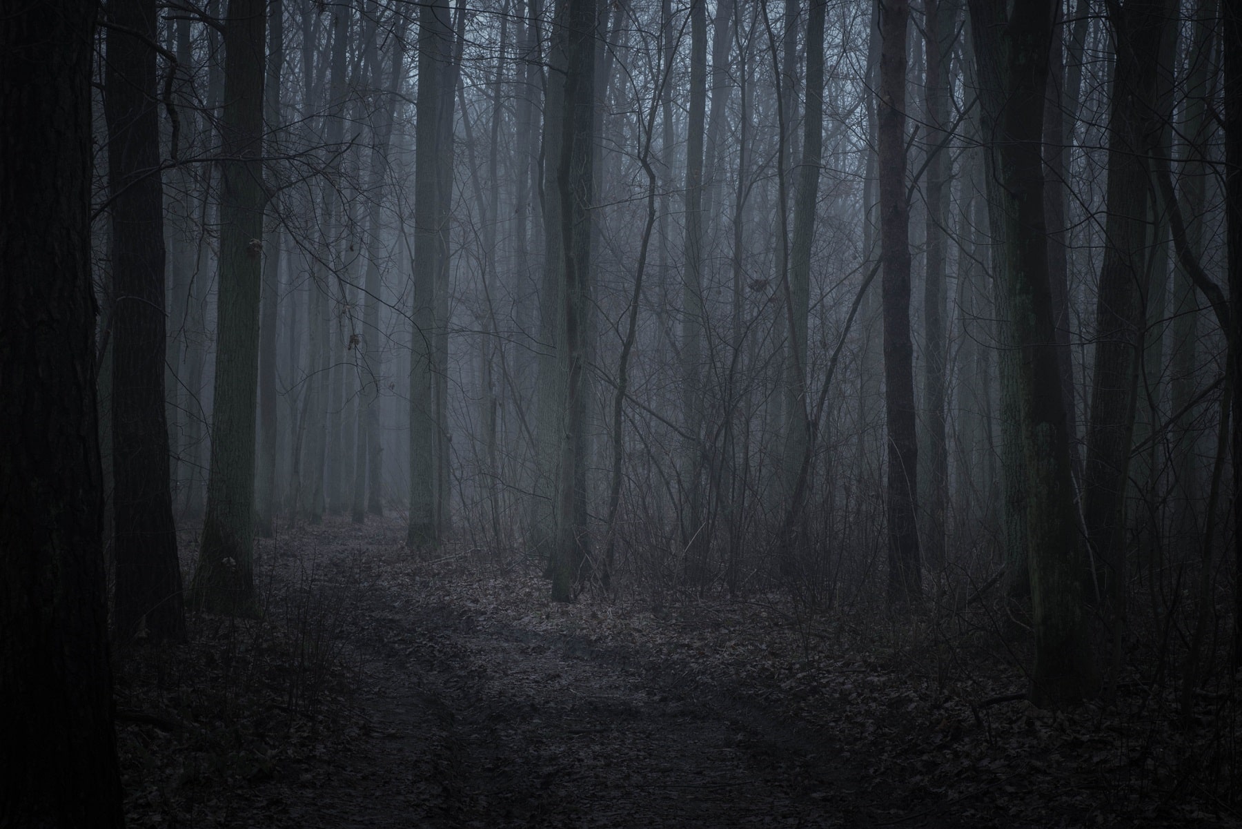 These Are the Haunted Houses in Chattanooga You Need to Visit